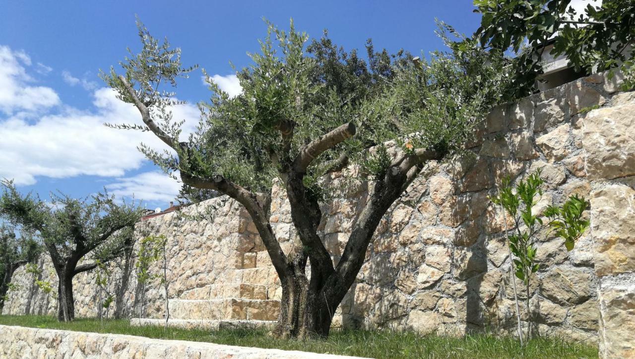 Apartmani Goga Starigrad Paklenica Exteriér fotografie